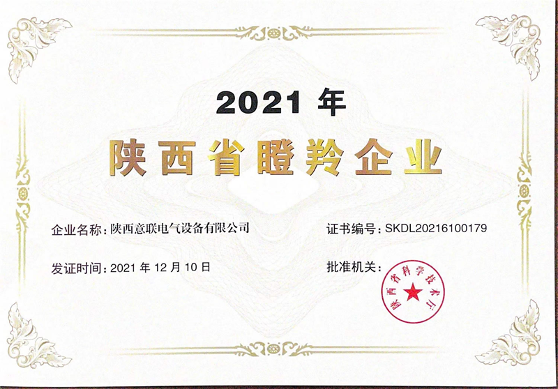 ףR(lin)늚s@2021ȡI(y)suQ̖